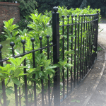 A bespoke metal railing covered in shrubbery