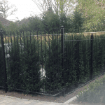 A domestic railing that covers several hedges