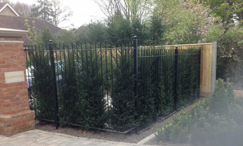 A domestic railing that covers several hedges