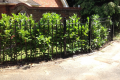 A metal gated railing amongst shrubbery