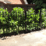 A metal gated railing amongst shrubbery